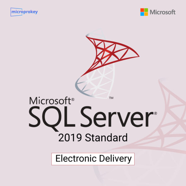 Microsoft SQL Server 2019 Standard - CSP advanced security