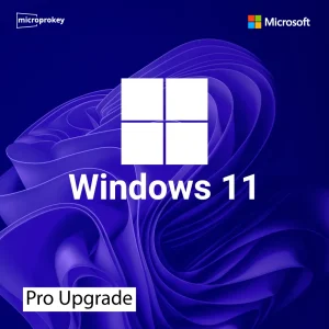 Windows-11-pro-upgrade.webp
