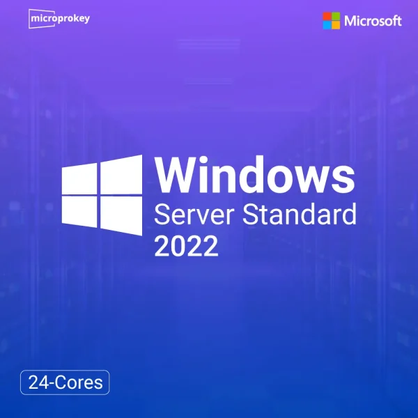 Windows Server 2022 Standard 24 Cores Lifetime License