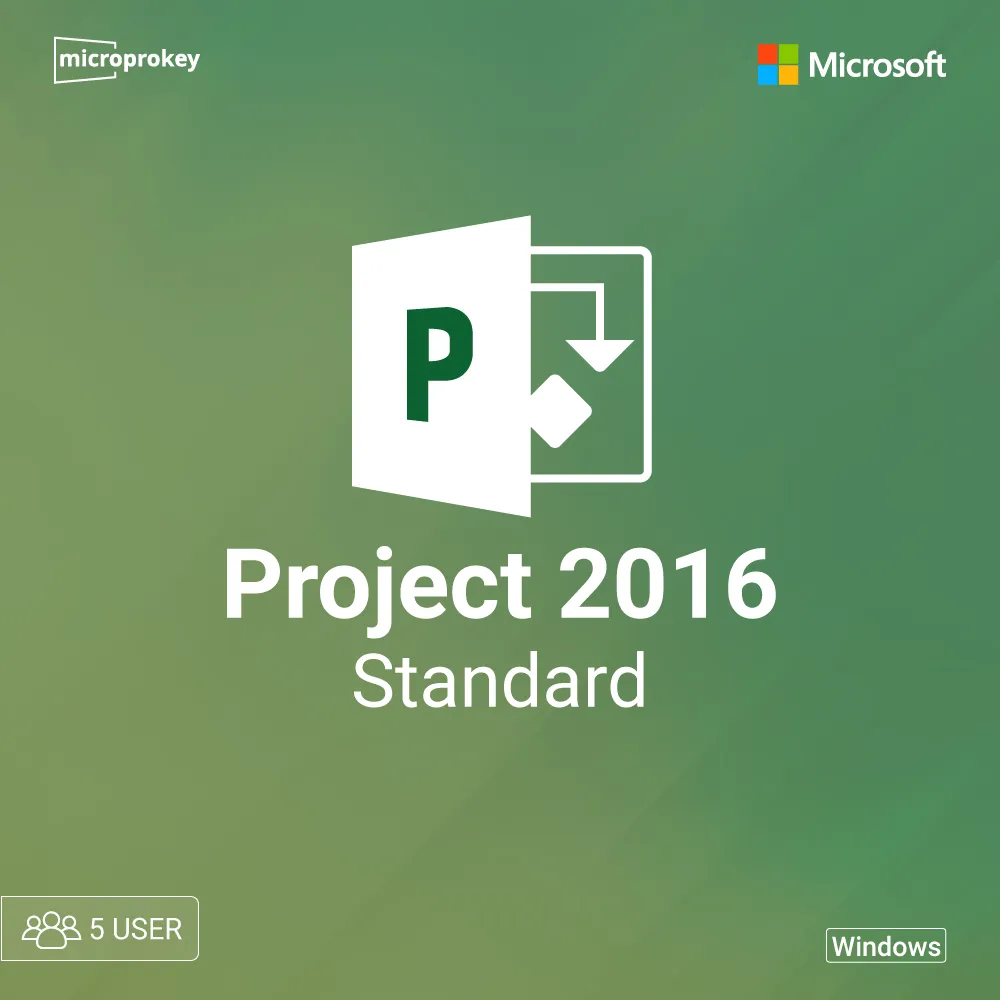 project-2016-Standard-5-user.webp