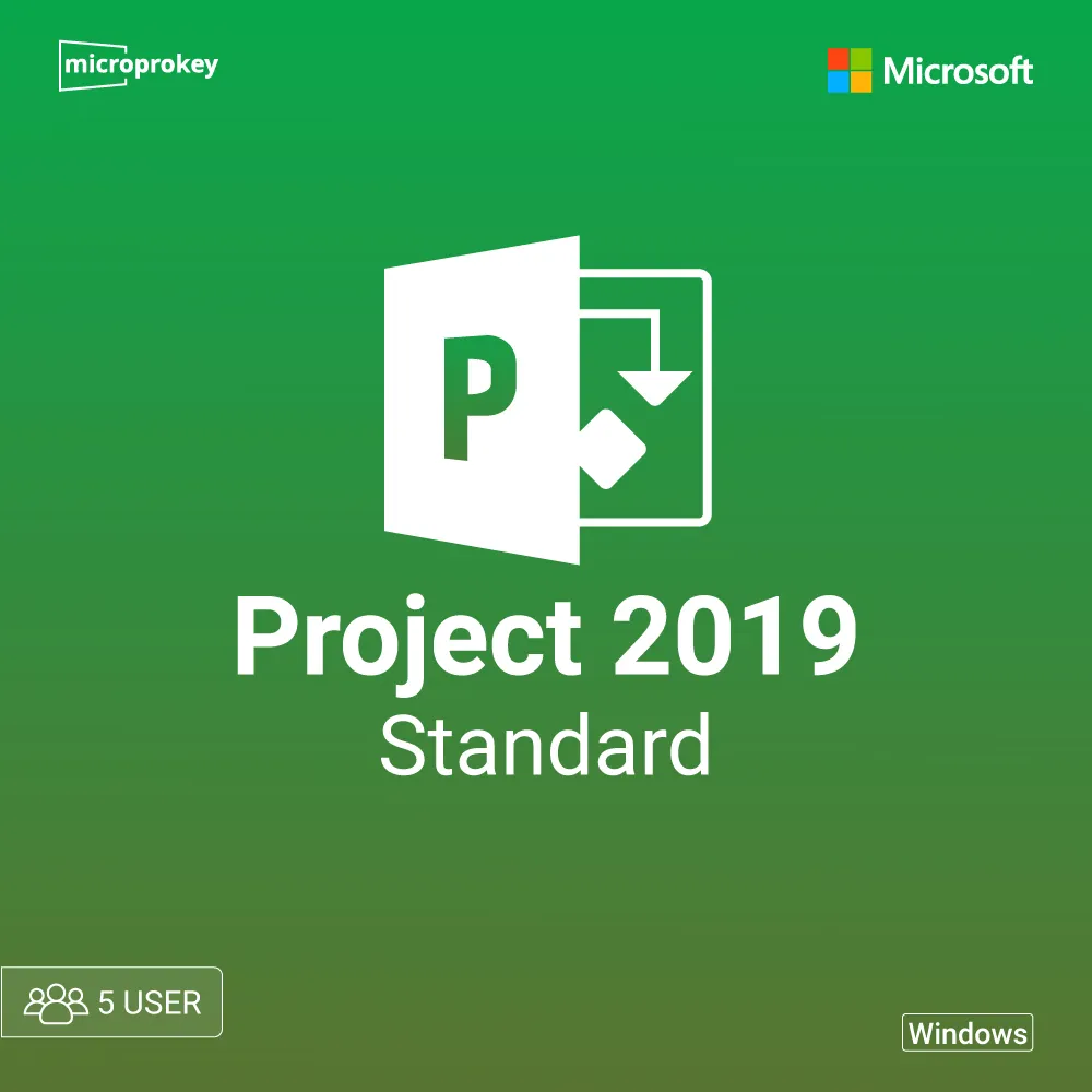 project-2019-Standard-5-user.webp