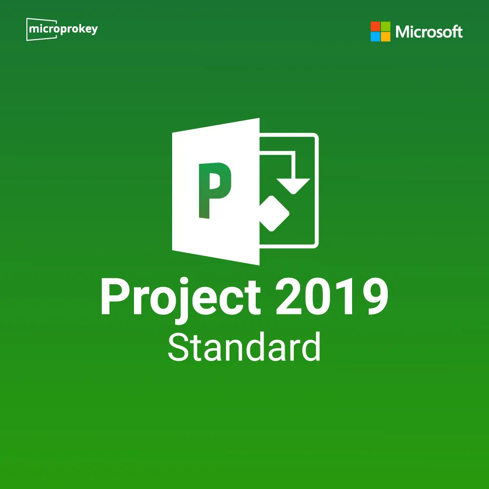 project-2019-Standard.webp