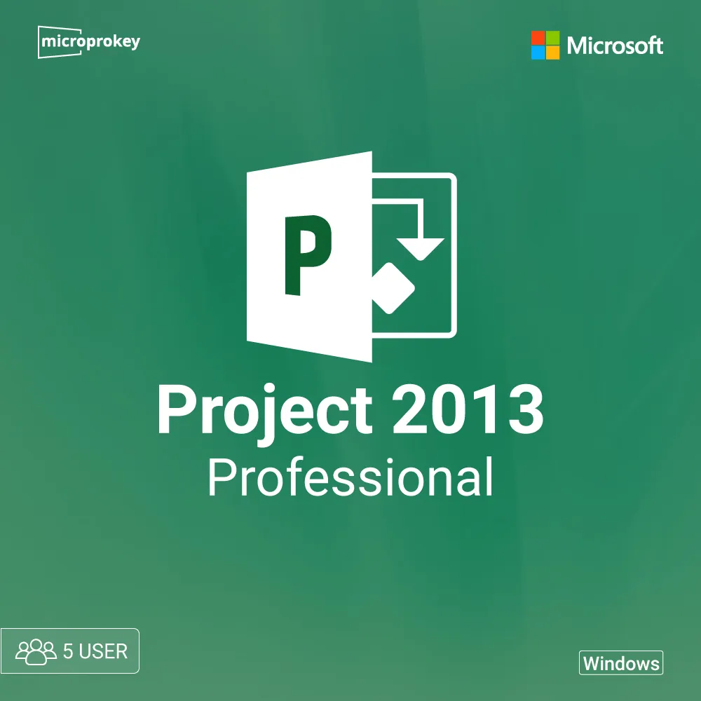 project-pro-2013-5-user.webp