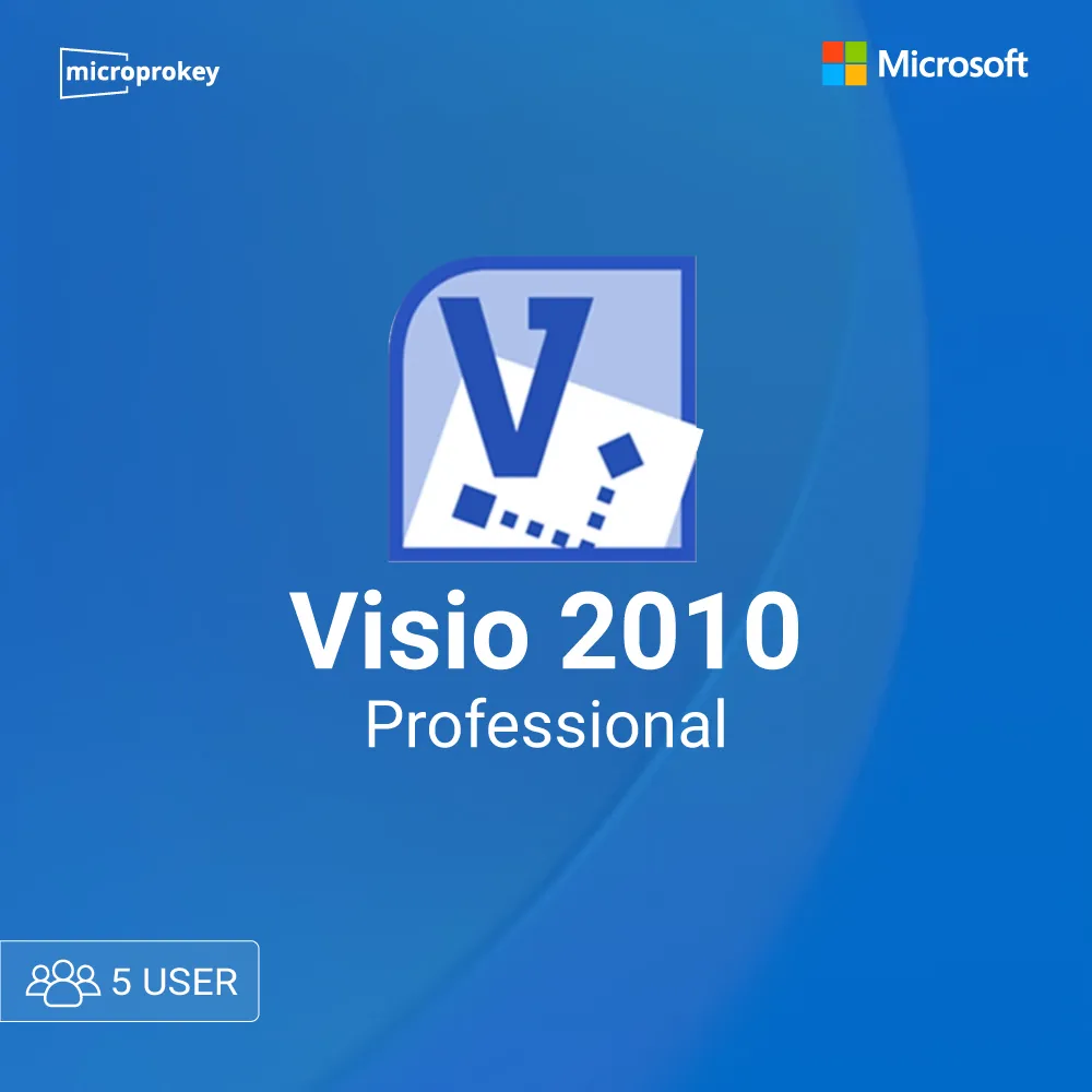 visio-pro-2010-5-user.webp