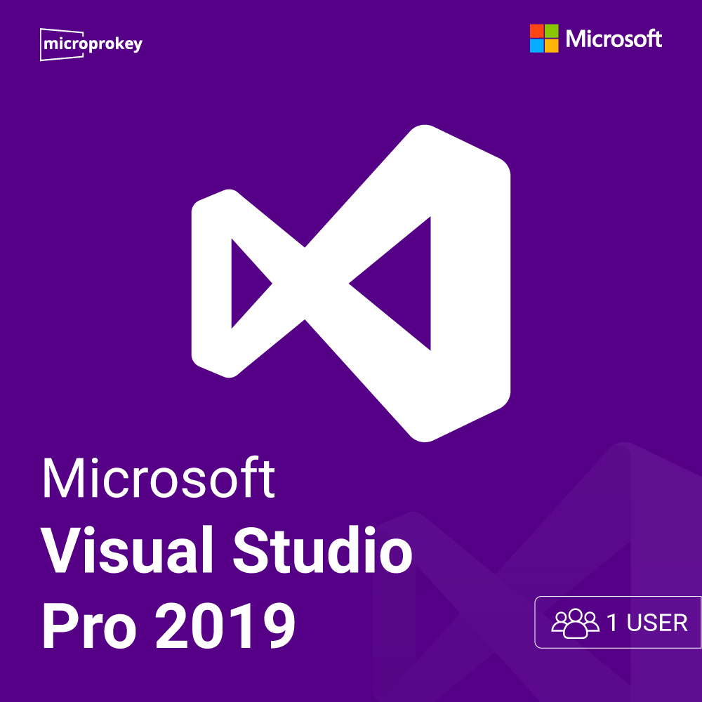 visual-studio-pro-2019-1-user