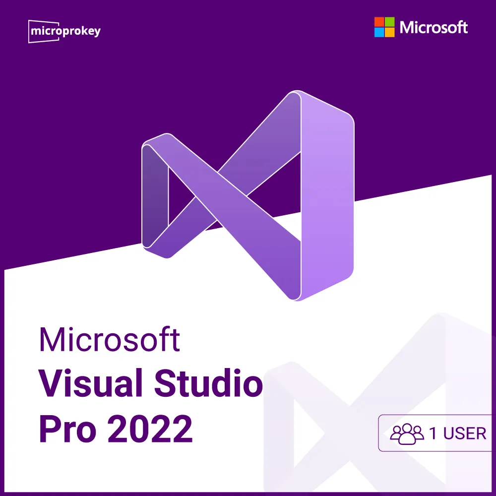 visual-studio-pro-2022-1-user.webp