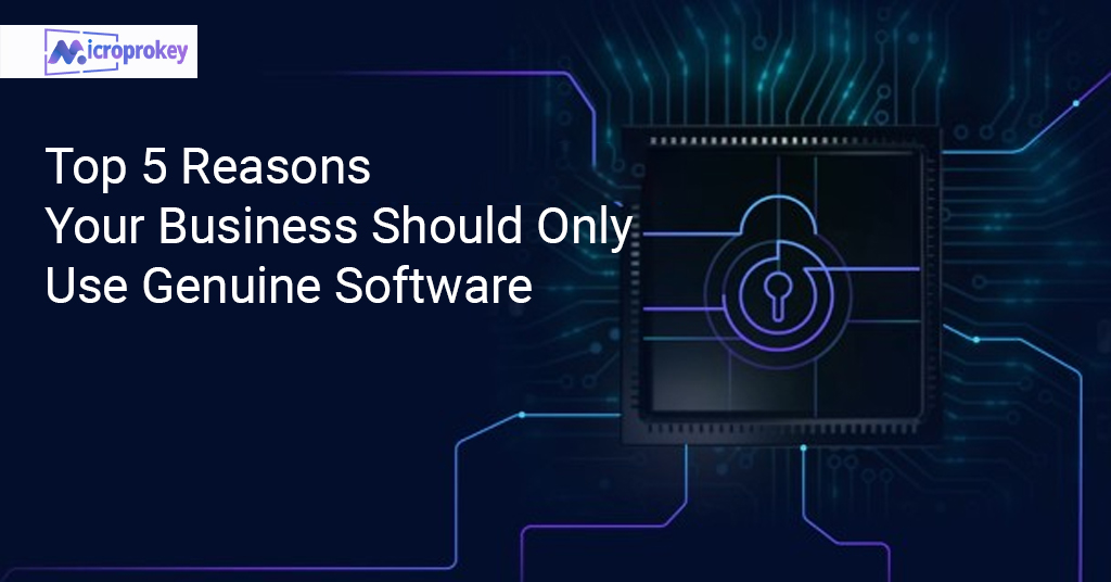 Use Genuine Software